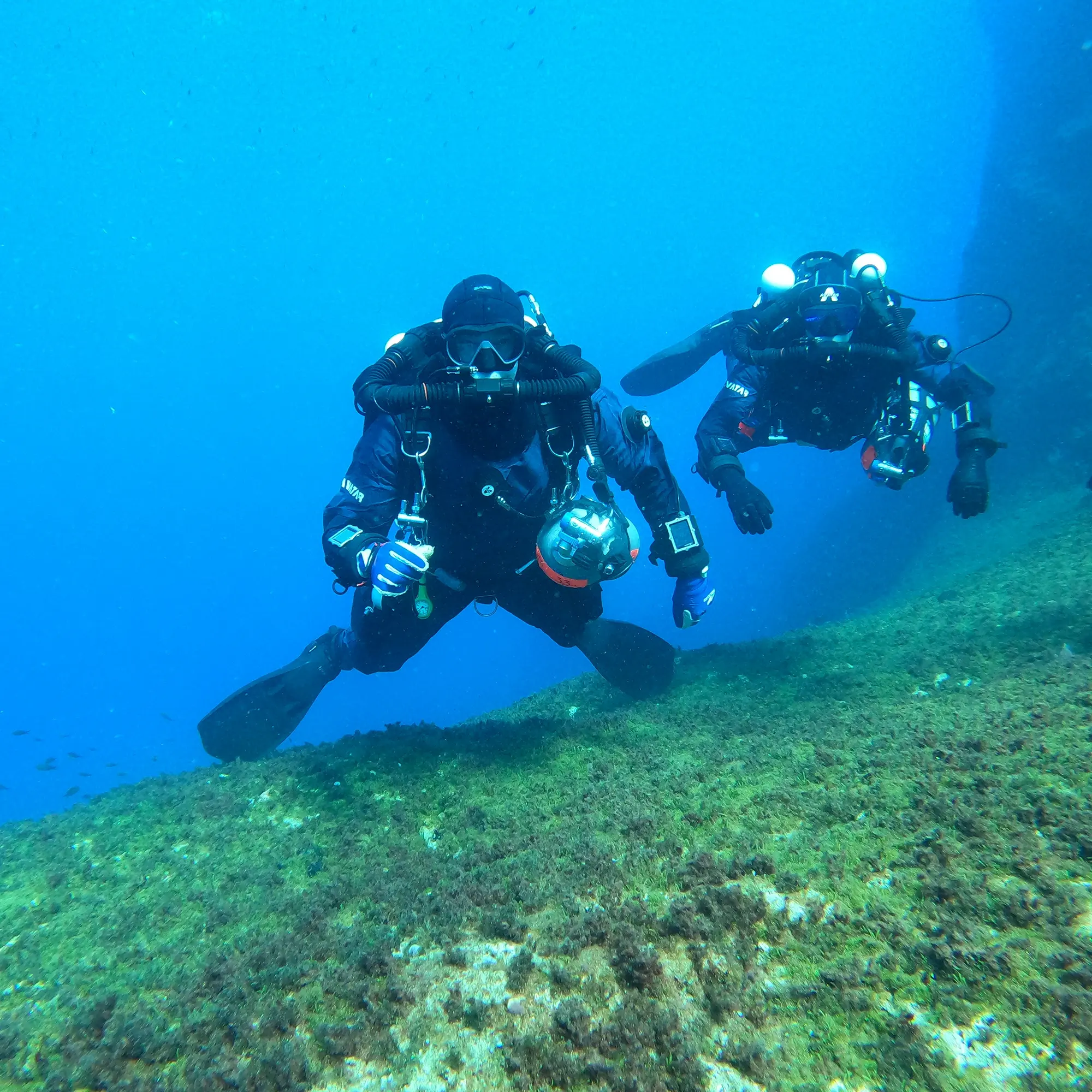 Divers underwater